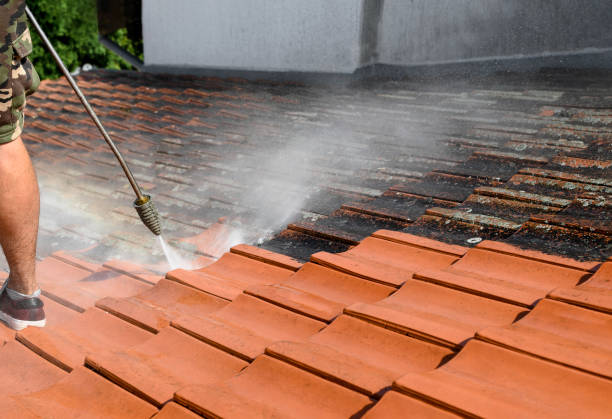 Best Pressure Washing Cost  in Pulaski, VA